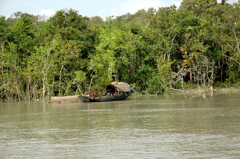 Sundarban Discovery